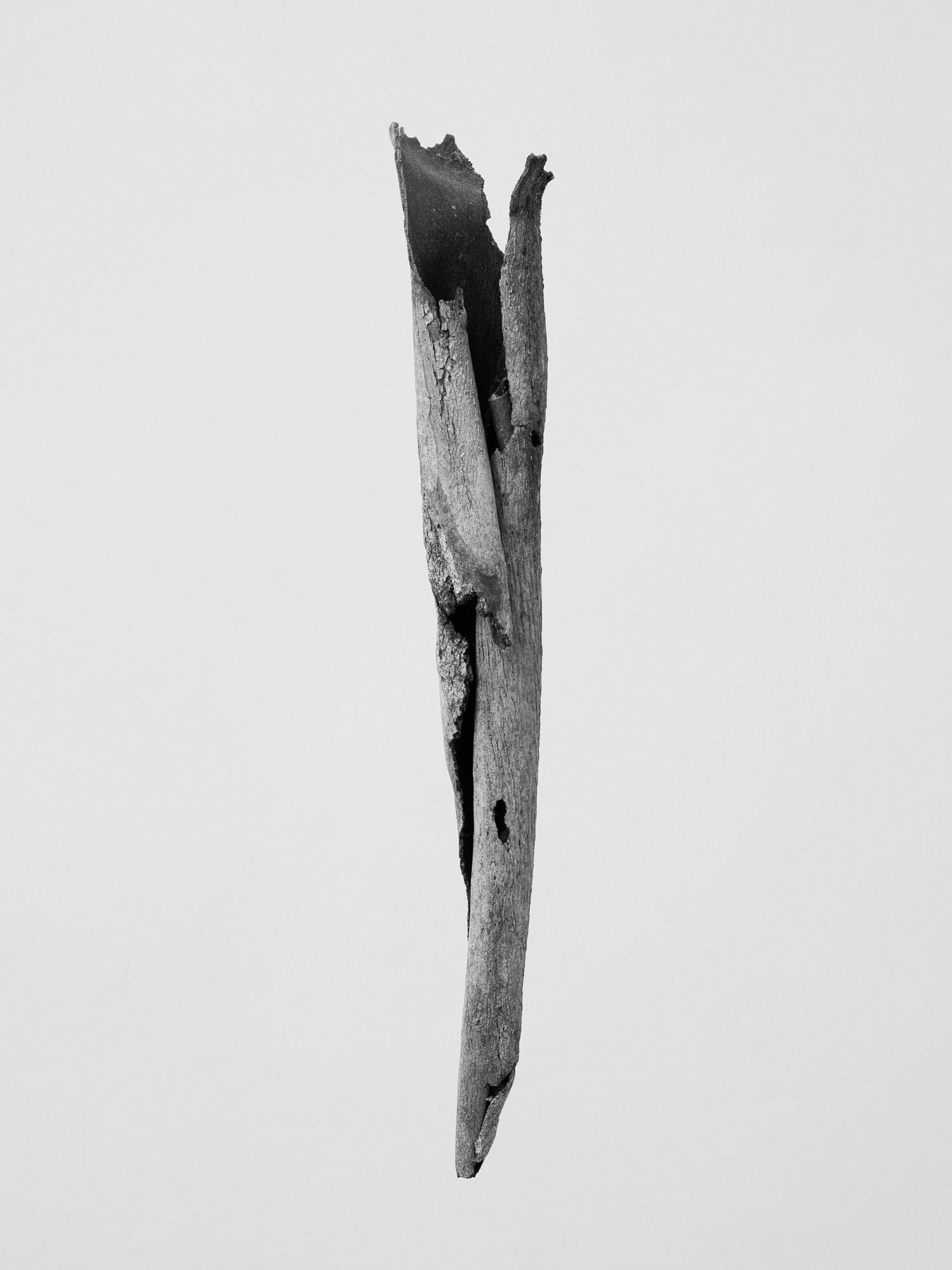 © Martin Friedrich