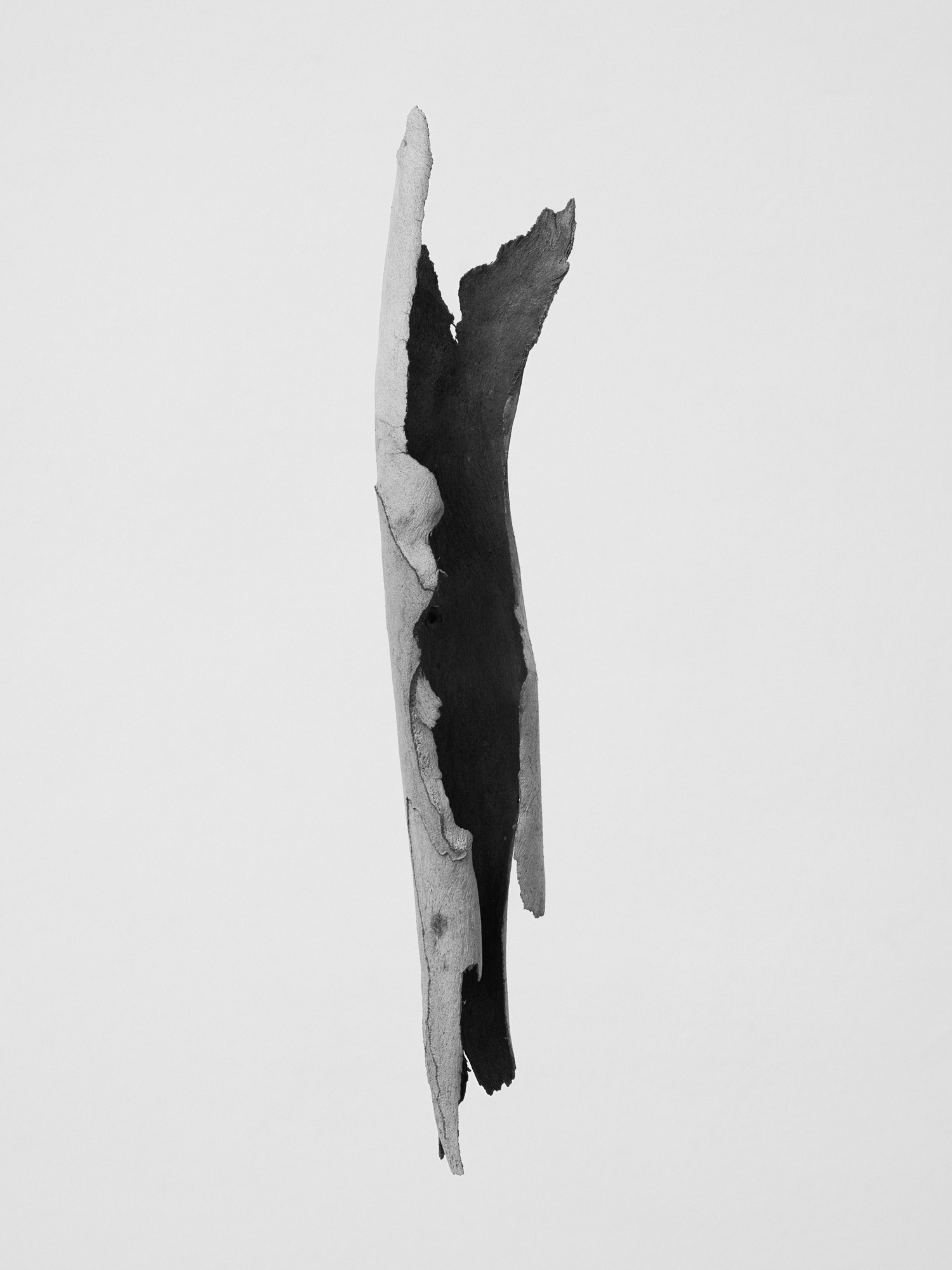 © Martin Friedrich