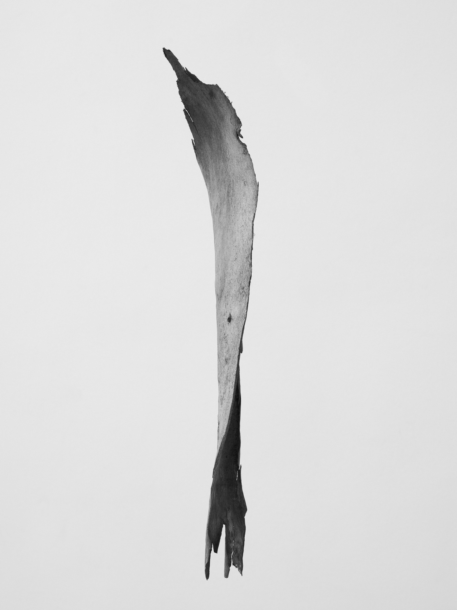 © Martin Friedrich