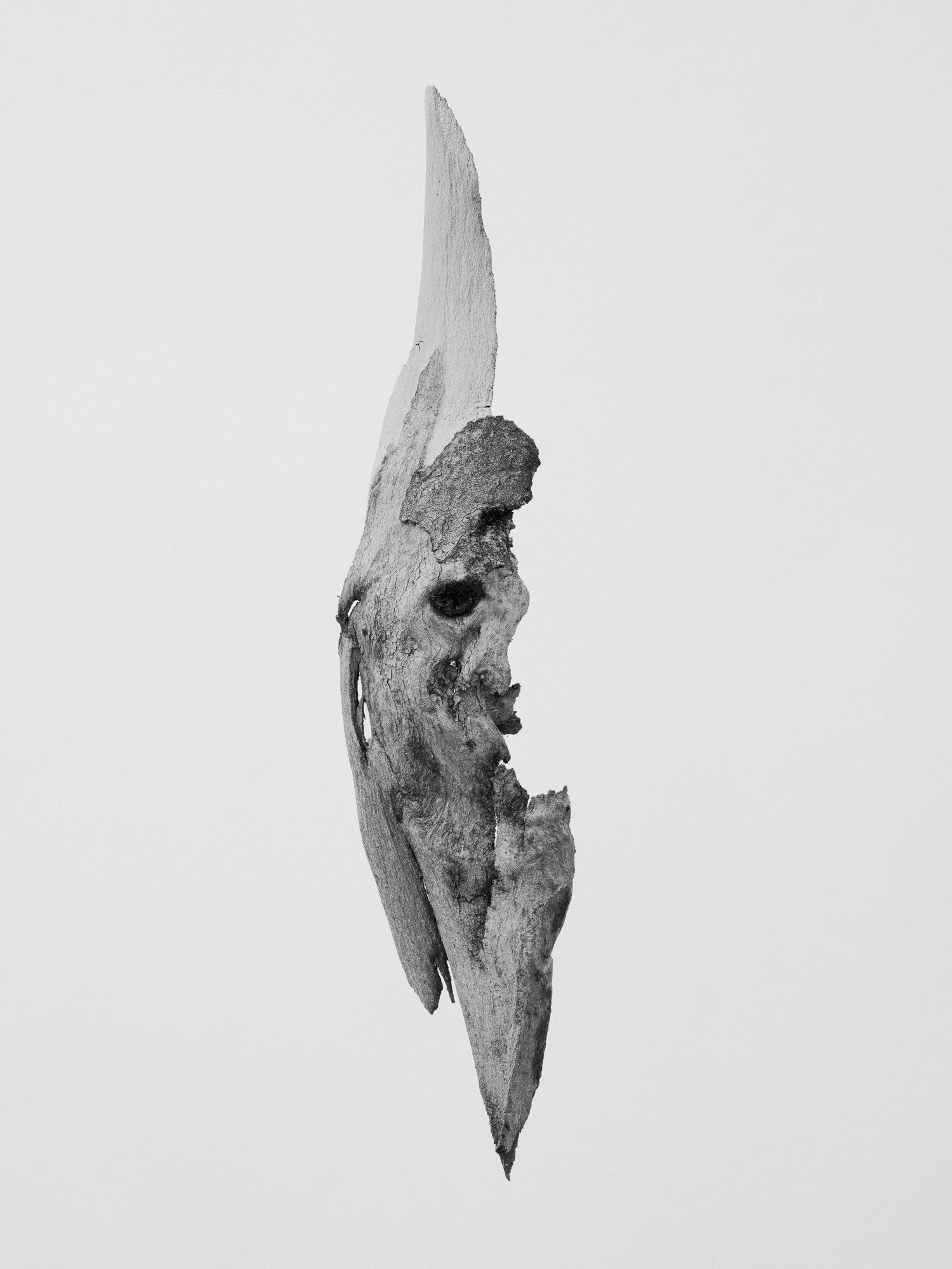 © Martin Friedrich