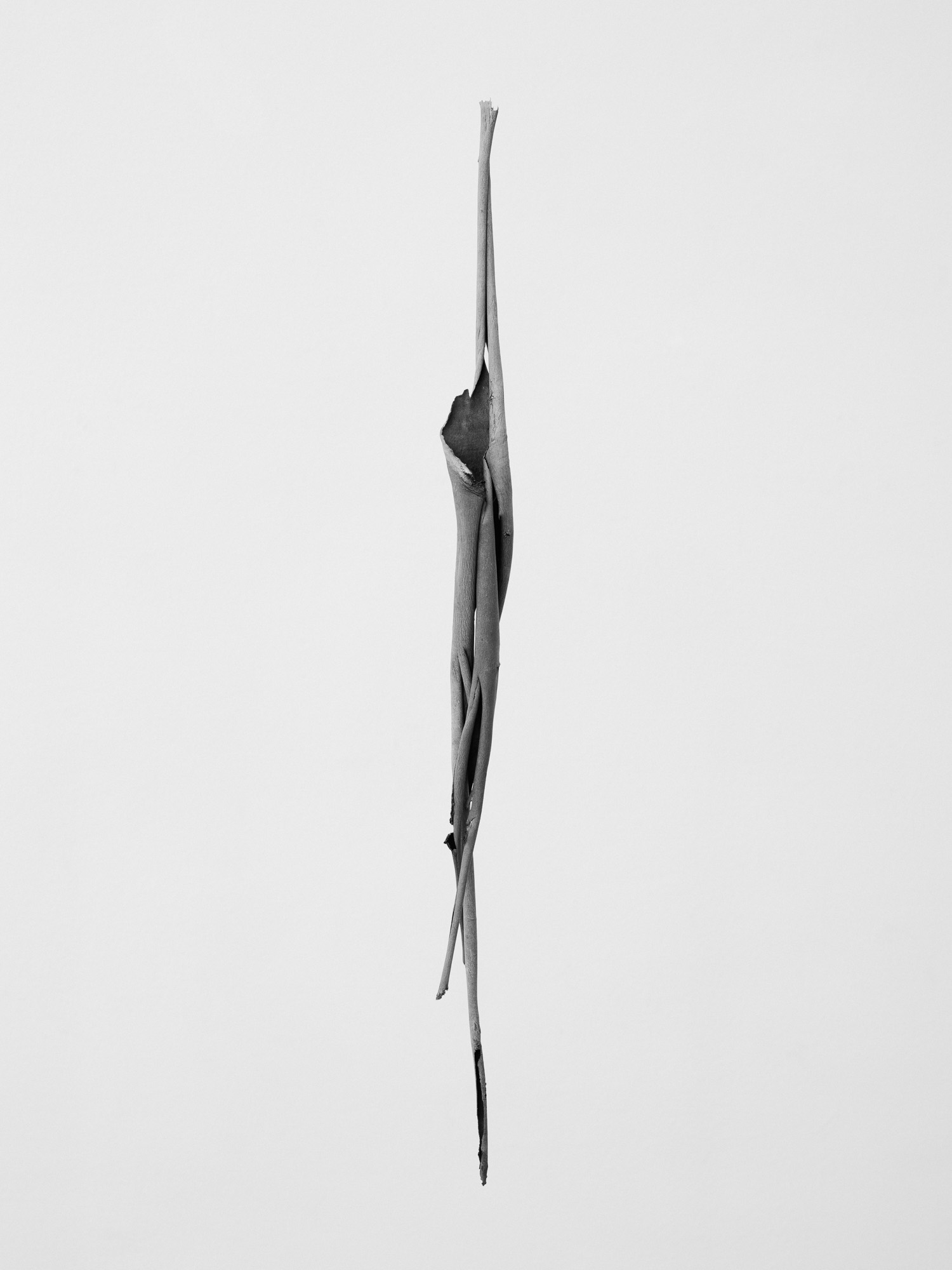 © Martin Friedrich
