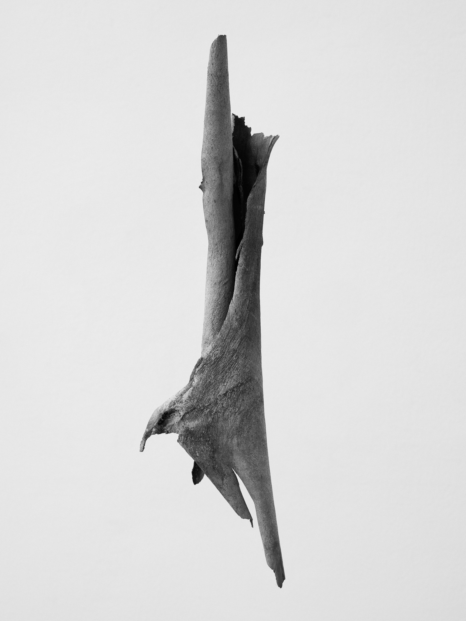 © Martin Friedrich